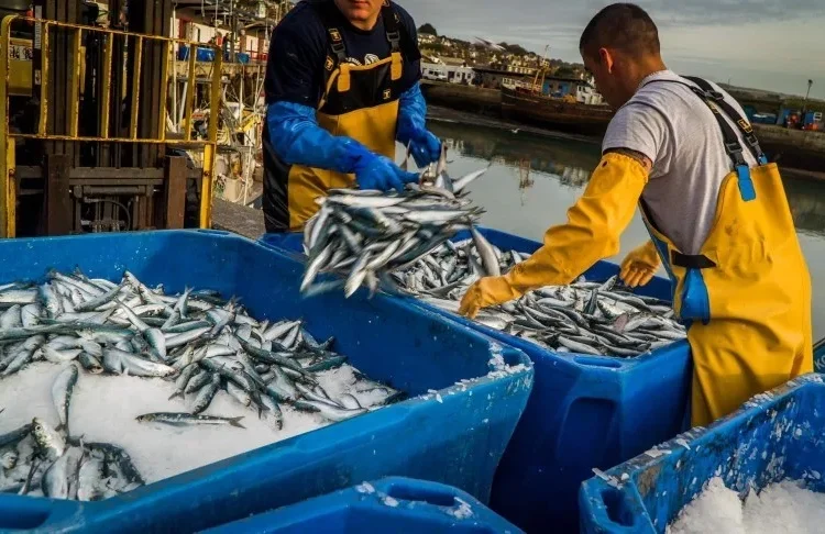 Morocco Launches 2026-2027 Inland Fishing Season with Focus on Sustainability