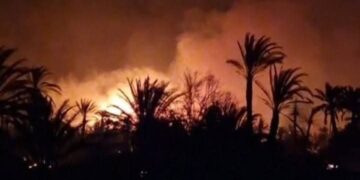 Eyewitnesses confirmed that some crops suffered damage, expressing fears that losses could worsen if strong winds reignite the flames and spread the fire further.