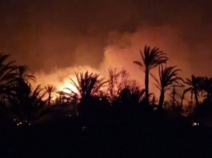 Eyewitnesses confirmed that some crops suffered damage, expressing fears that losses could worsen if strong winds reignite the flames and spread the fire further.