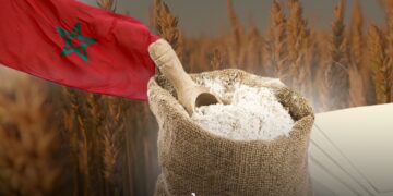 Mills Federation Slams Touzi’s ‘Grinding Paper’ Claims, MP Clarifies Comment as Figure of Speech
