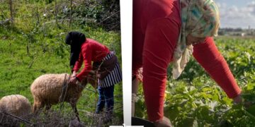 ElleMoutmir: Empowering Moroccan Women for Inclusive, Sustainable Agriculture
