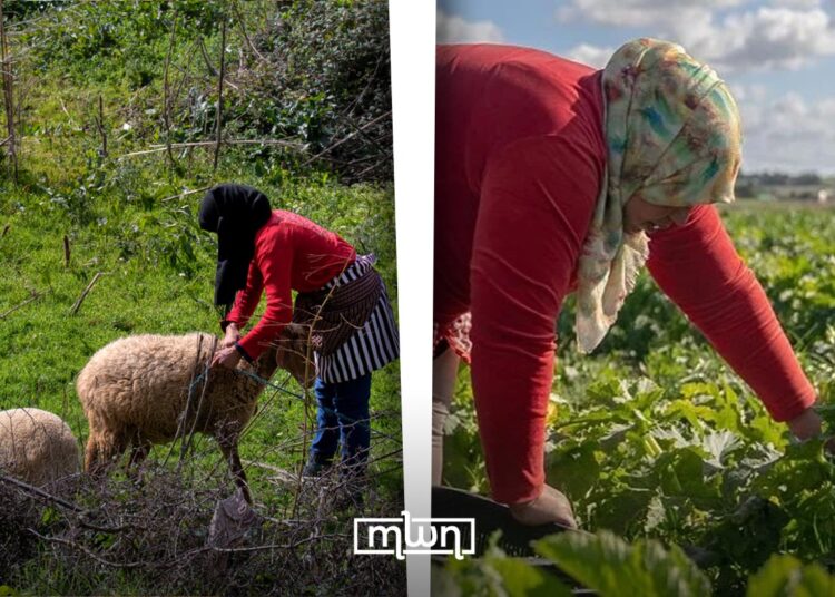 ElleMoutmir: Empowering Moroccan Women for Inclusive, Sustainable Agriculture