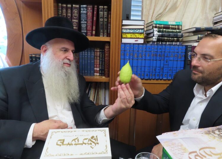 The rabbis examined the etrogim’s exceptional quality and insisted on paying for them, citing the principle that mitzvot require payment.