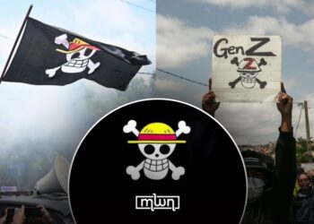 What is the Pirate in a Straw Hat Flag? Behind the Symbol of Gen Z Protests