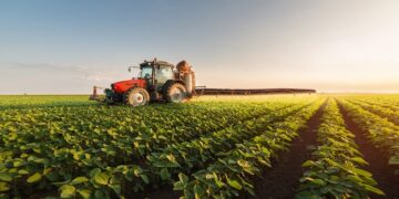 Morocco Sets the Benchmark for Agriculture, Senegalese Minister Says