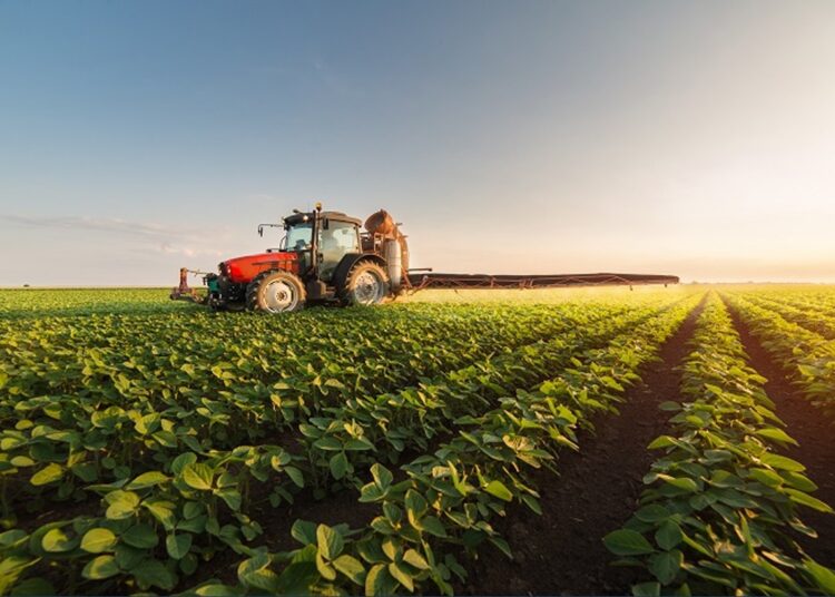Morocco Sets the Benchmark for Agriculture, Senegalese Minister Says