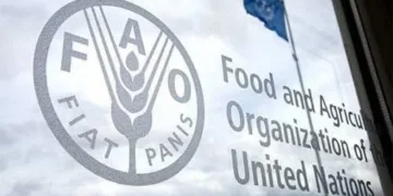 FAO Honors AMCI for Driving South-South Development Leadership