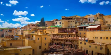 The iconic leather tannery in Fez