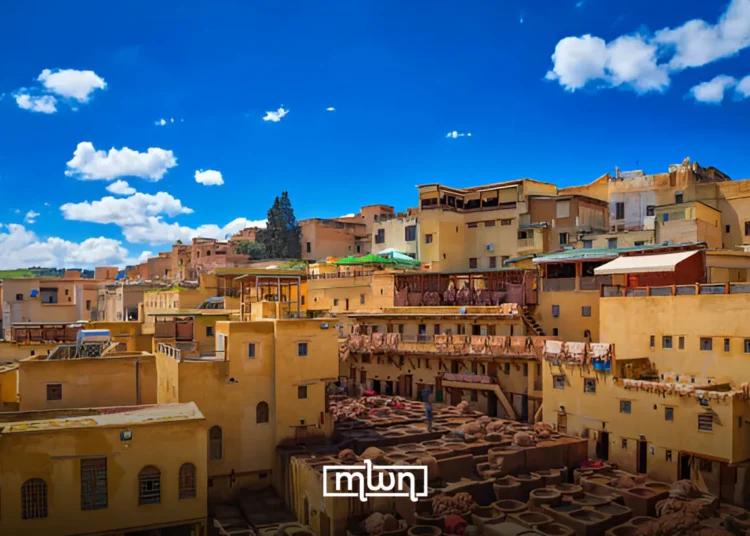 The iconic leather tannery in Fez