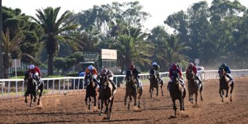 Horse Agador Wins His Majesty King Mohammed VI Grand Prix in Casablanca