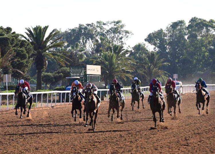 Horse Agador Wins His Majesty King Mohammed VI Grand Prix in Casablanca