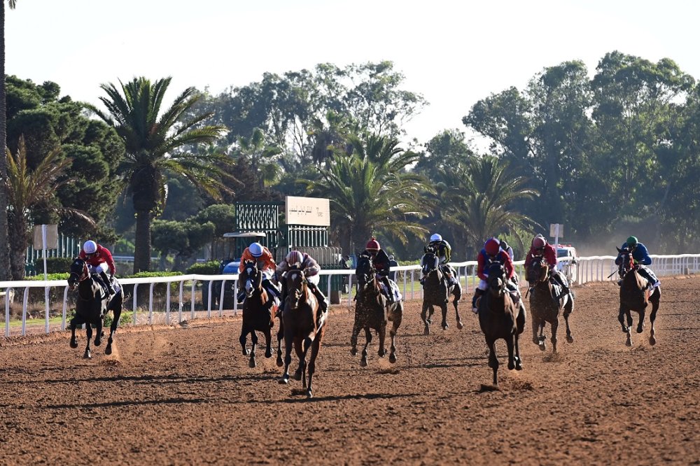 Horse Agador Wins His Majesty King Mohammed VI Grand Prix in Casablanca
