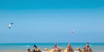 Morocco welcomed 16.6 million visitors during the first ten months of 2025.