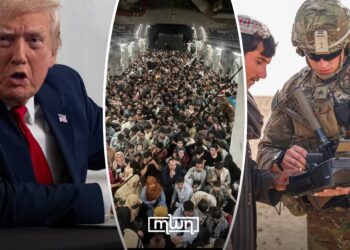 Trump Halts Immigration Requests From ‘Third World Countries’ in Wake of DC Shooting