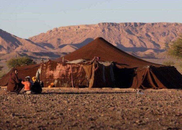 The traditionally nomadic Amazigh pastoralists in the Draa-Tafilalet region confront both environmental degradation and historical marginalization.