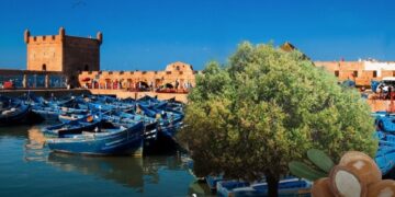 Argan Tree Use in Essaouira Dates Back 150,000 Years, Archaeologists Confirm