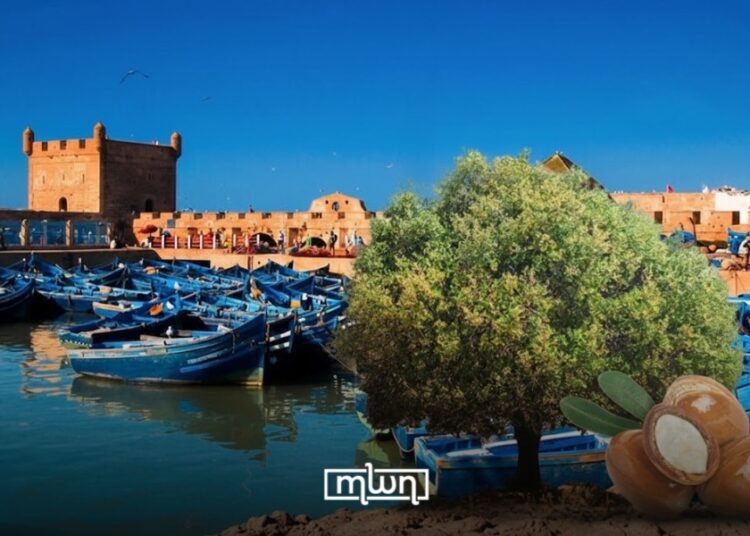 Argan Tree Use in Essaouira Dates Back 150,000 Years, Archaeologists Confirm