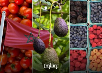 Morocco’s Produce Exports in Mediterranean Valued at 3.7 Billion Euros