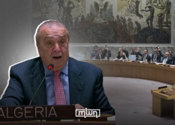 The UNSC Vote for Moroccan Sahara: Continuing on the Green March
