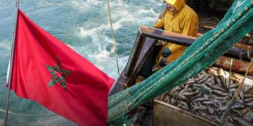 Morocco’s Fisheries Revenue Drops 3% by October 2025