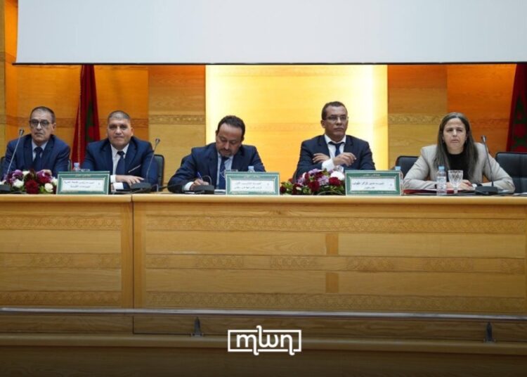 Fez–Meknes Unveils New Roadmap to Boost Morocco’s Leather Industry Growth