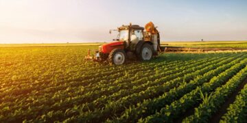 Morocco Sees 56% Above Average Rainfall, Signals Better Crop Prospects