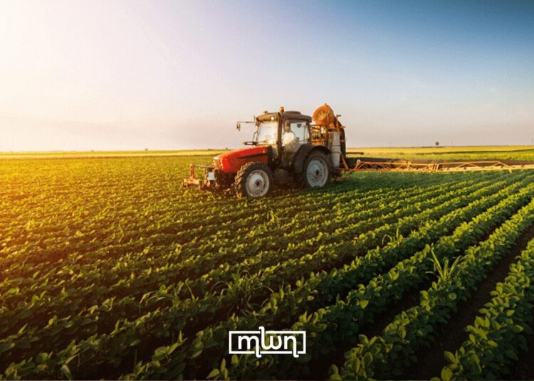 Morocco Sees 56% Above Average Rainfall, Signals Better Crop Prospects
