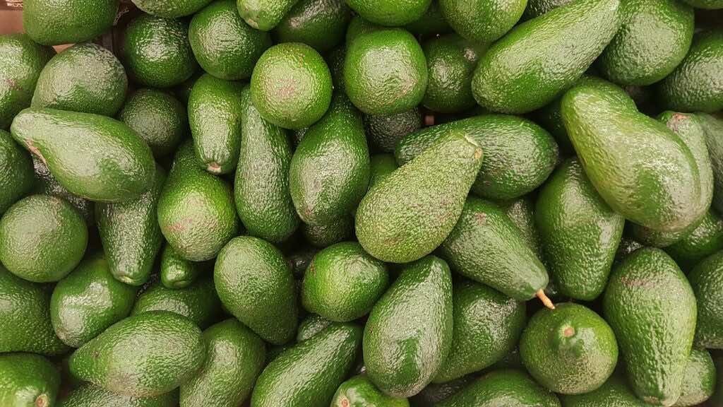 Moroccan Hass Avocado Prices Drop 20% as New Season Begins