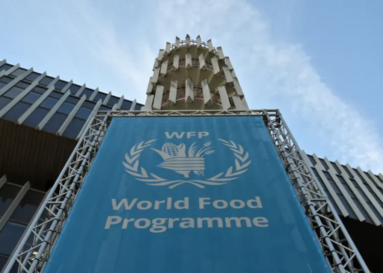 Morocco Secures New Term on World Food Programme Executive Board for 2026