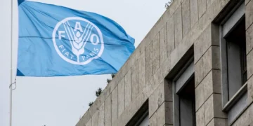 Morocco has been elected to the vice-presidency of the UN Food and Agriculture Organization Council during the 179th FAO conference in Rome.