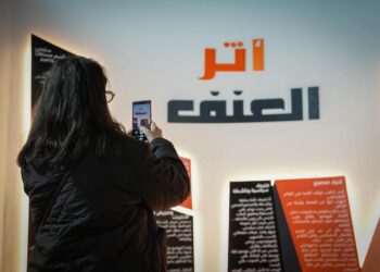 CNDH digital violence women