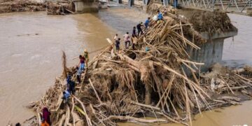 Women walk through a road cleared of uprooted trees in the aftermath of flash floods at Aceh Tamiang in Northern Sumatra on Dec 10, 2025. (Photo: AFP/Aditya Aji)