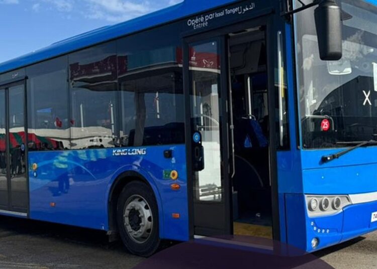 Tangier Rolls Out 280 New Buses, Ushering in a New Era for Urban Transport