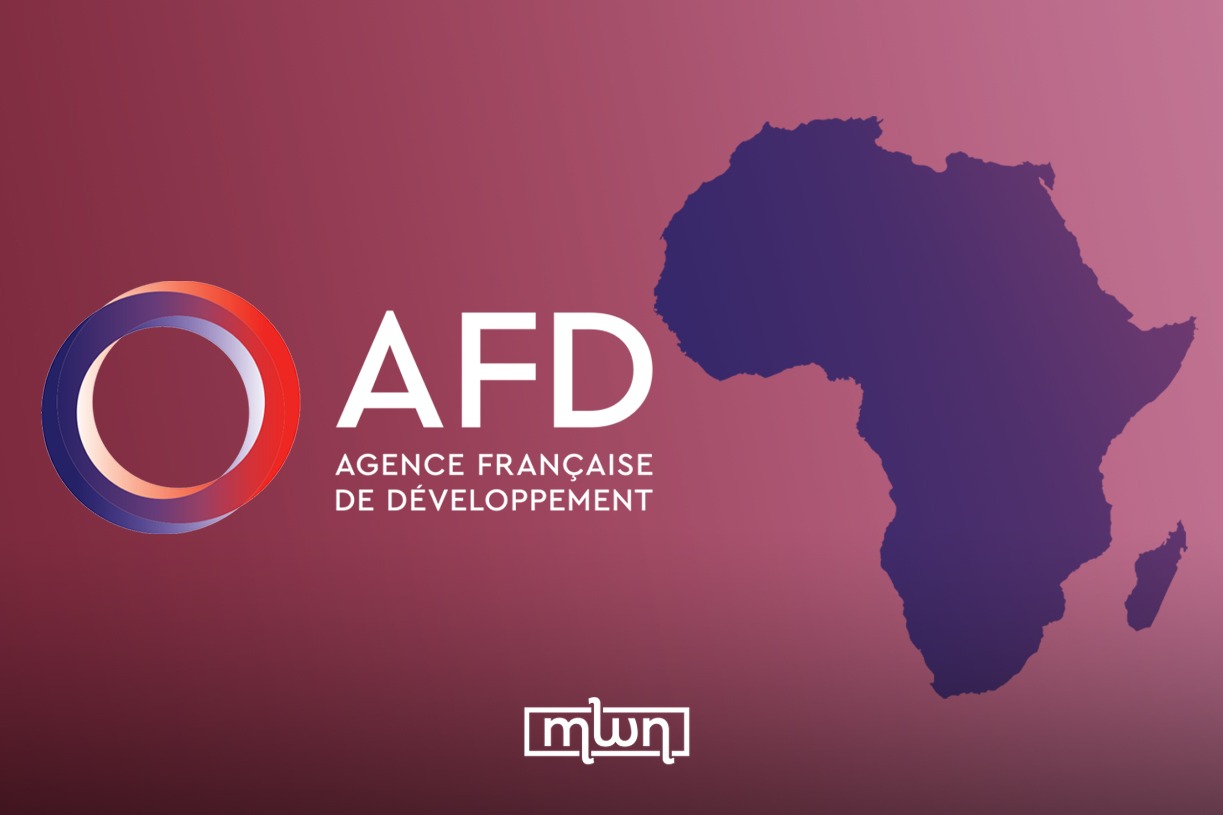 AFD Slashes Africa Budget to €4 Billion Amid French Aid Cuts