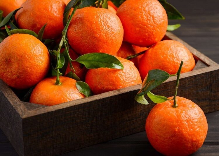 Tangerine Output in Morocco Set to Grow 4% in 2025-2026