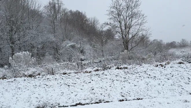 Heavy Rain, Snow, and Freezing Temperatures Forecast in Morocco Through Monday