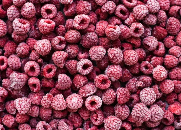 Morocco Exports Nearly 2,000 Tons of Frozen Raspberries to France in 2025