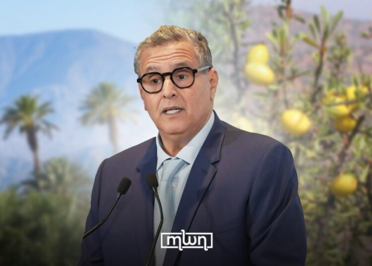 Akhannouch Outlines ANDZOA’s Vital Role in Job Creation, Support for Cooperatives