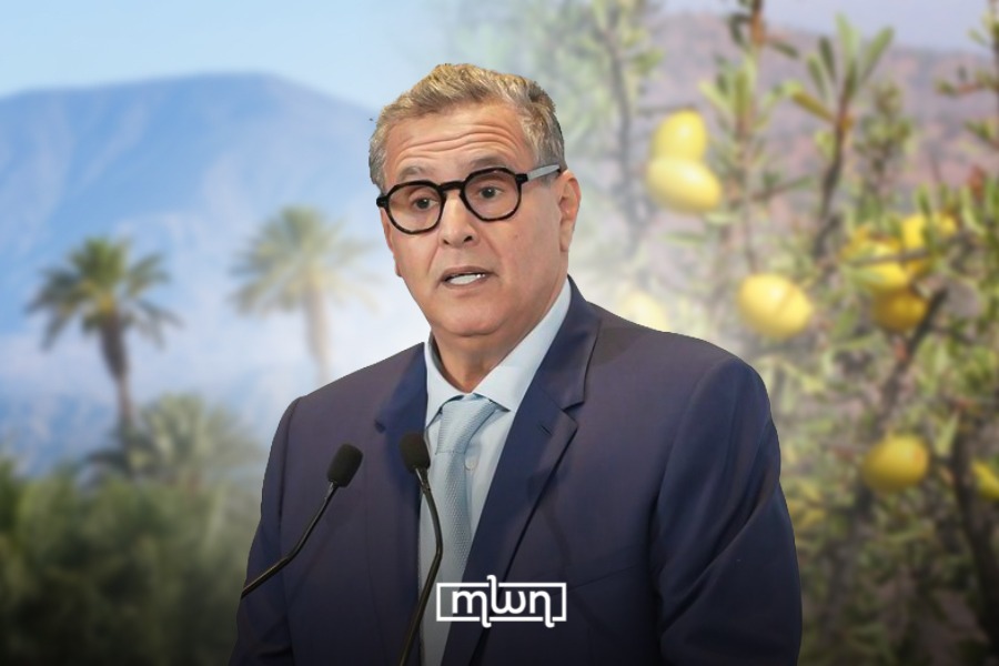 Akhannouch Outlines ANDZOA’s Vital Role in Job Creation, Support for Cooperatives