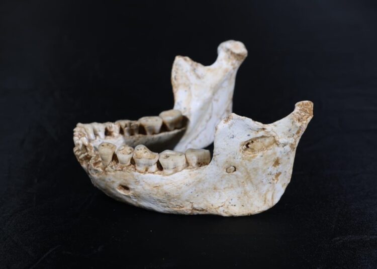 Researchers have discovered fossil remains in Morocco that may represent one of the earliest stages of the human lineage, dating back 773,000 years ago.