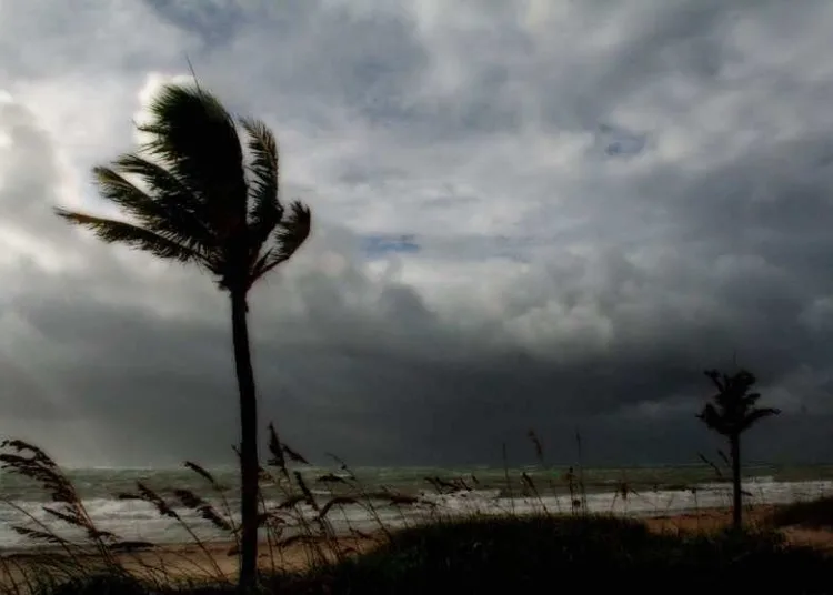 Cold Weather, Strong Wind, and Rain Persist in Several Provinces in Morocco