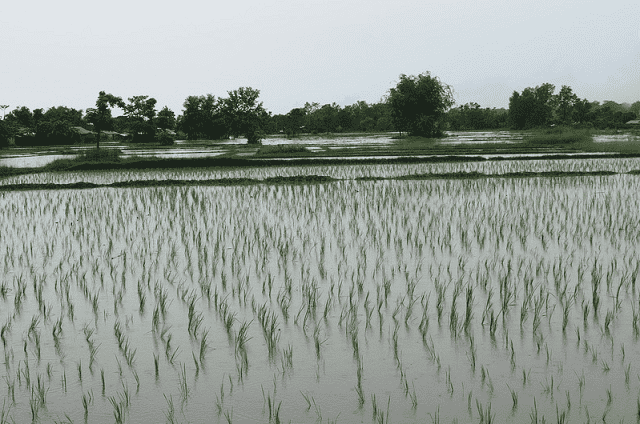Morocco’s Weather Office Forecasts Very Heavy Rainfall, Snowfall and Winds