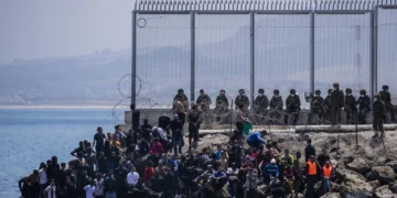 Spain’s irregular migration flows fell sharply in 2025.