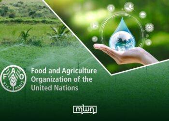 FAO Recognizes Pioneering Moroccan Research in Smart Agriculture and Water Management