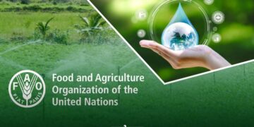 FAO Recognizes Pioneering Moroccan Research in Smart Agriculture and Water Management