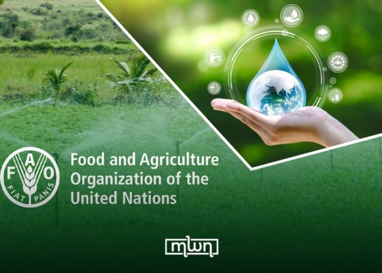 FAO Recognizes Pioneering Moroccan Research in Smart Agriculture and Water Management