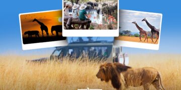 6 Luxury African Safari Holiday Destinations To Visit for an Unforgettable Experience