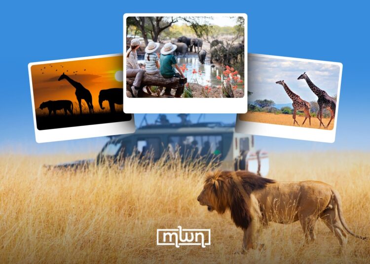 6 Luxury African Safari Holiday Destinations To Visit for an Unforgettable Experience