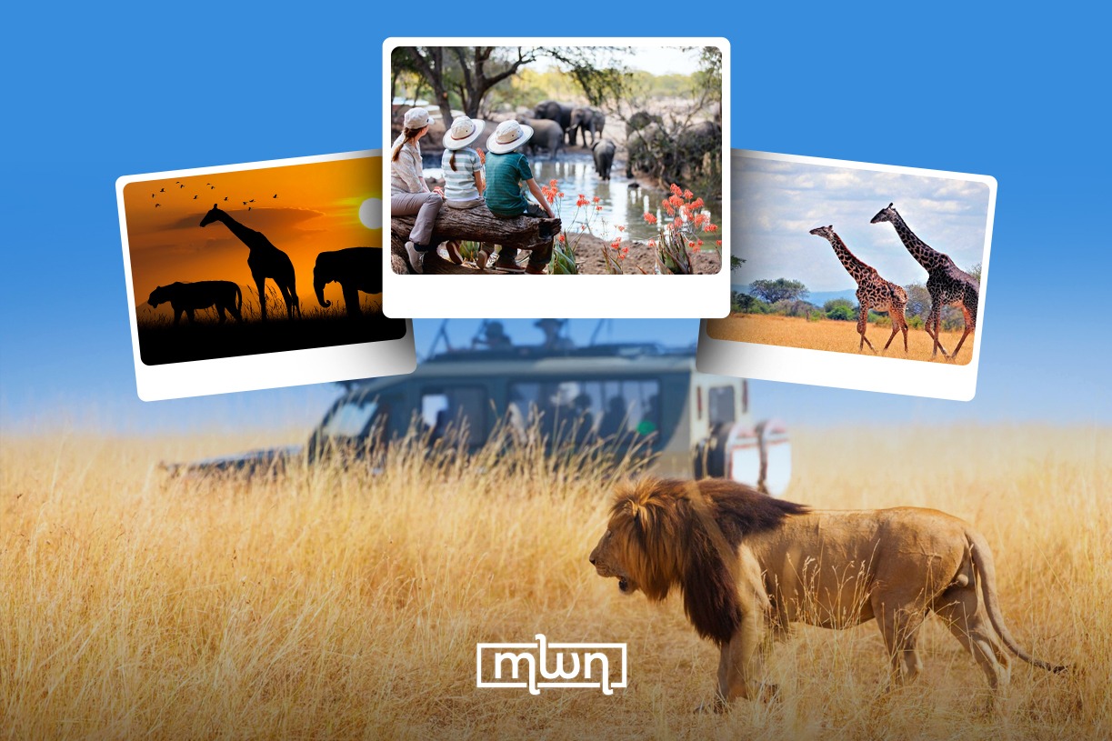 6 Luxury African Safari Holiday Destinations To Visit for an Unforgettable Experience