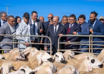 Government Launches Major Community-Based Initiatives to Strengthen Agriculture, Livestock
